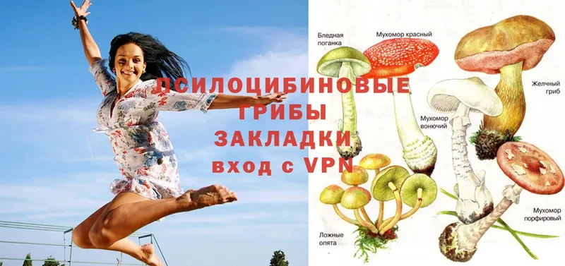 блэк спрут рабочий сайт  Кизел  Галлюциногенные грибы Psilocybine cubensis  даркнет телеграм  закладка 